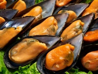 Mariscos del Rey lleva el auténtico sabor del océano a la mesa con una calidad y frescura inigualables