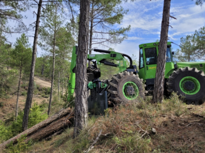 Grup Boix destaca la gestión forestal como medida clave contra los grandes incendios