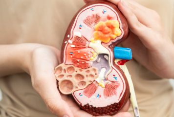 Cerca del 8% de las personas participantes en el programa de cribado de enfermedad renal en farmacias de Gipuzkoa han sido derivadas a Atención Primaria