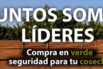 SABA Pistachios duplica su capacidad de procesado para la compra de pistacho en verde en España