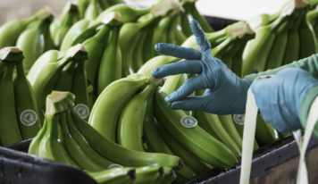 Productores colombianos alertan en Fruit Attraction, en Madrid, sobre los costes invisibles del banano sostenible