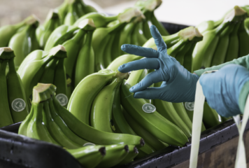 Productores colombianos alertan en Fruit Attraction, en Madrid, sobre los costes invisibles del banano sostenible