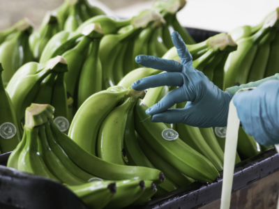 Productores colombianos alertan en Fruit Attraction, en Madrid, sobre los costes invisibles del banano sostenible