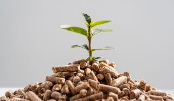Bifeedoo destaca los beneficios del pienso ecológico como una apuesta de futuro para la ganadería actual