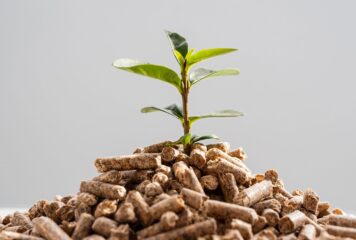 Bifeedoo destaca los beneficios del pienso ecológico como una apuesta de futuro para la ganadería actual