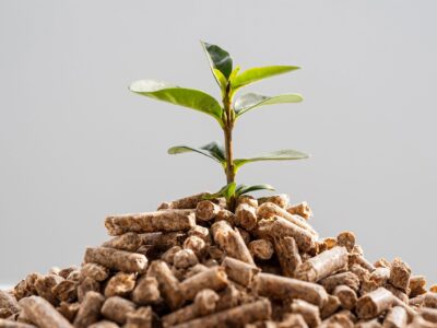 Bifeedoo destaca los beneficios del pienso ecológico como una apuesta de futuro para la ganadería actual